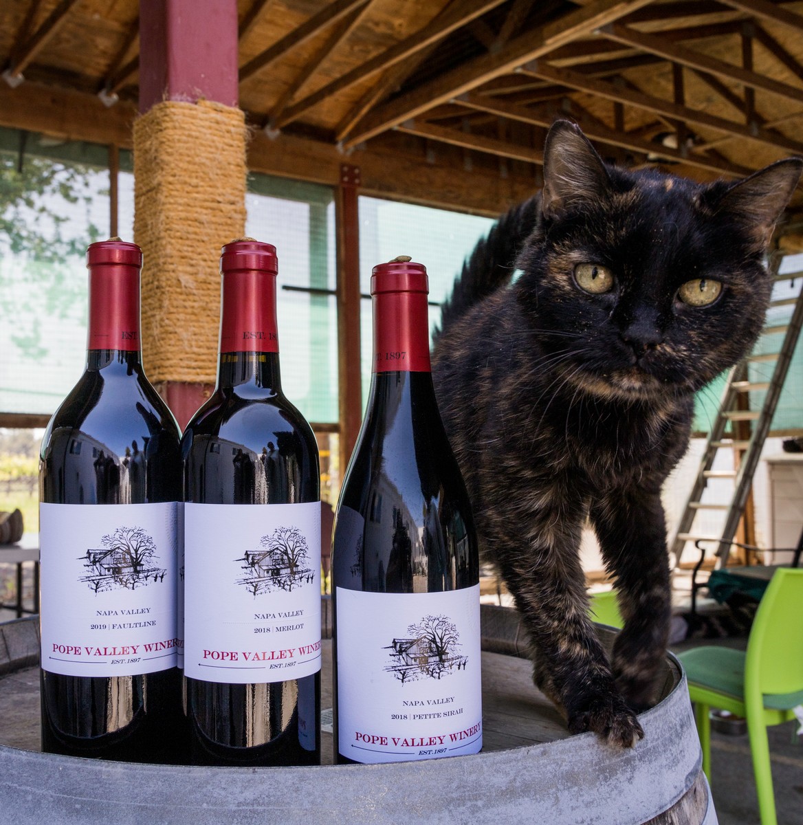 Award Winning Reds - sure to make you purrrr